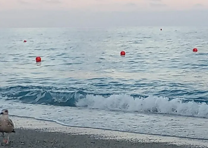 Le Petit Διαμέρισμα *